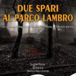 Massimo Bertarelli in Due spari al Parco Lambro, il nuovo noir