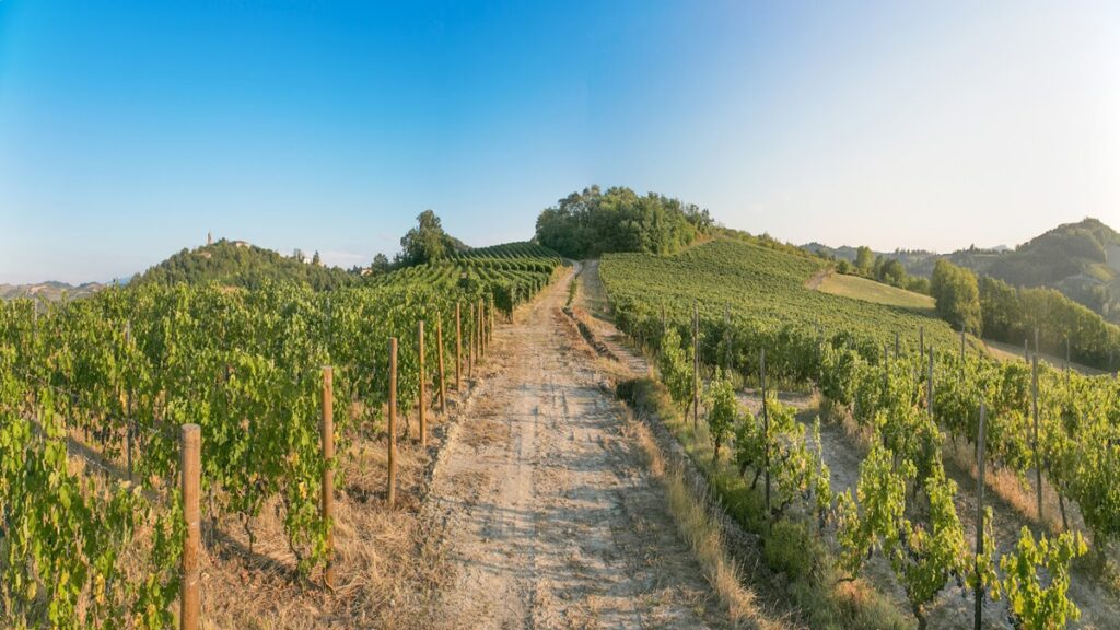 4_Panoramica_Vigneti-Massa_EustachiORA-apr24-1024x576 Il vino, e la mente: 22-30 aprile degustazione con Vigneti Massa