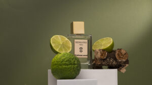 CumbawaWood-300x169 Lifestyle, Design & Moda
