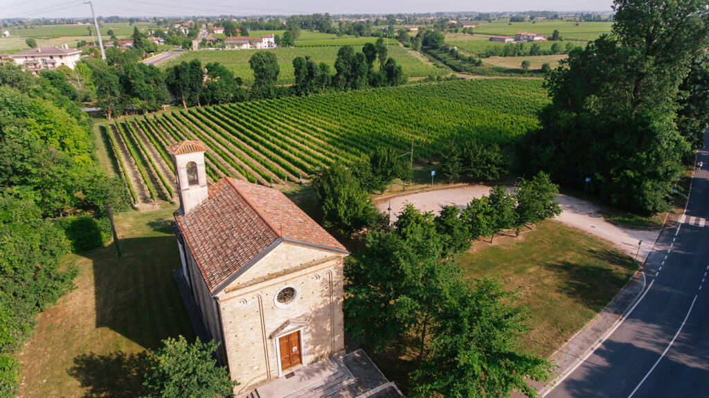 DJI_0099-1024x575 STAJNBECH a Cantine Aperte - 25 maggio 2025