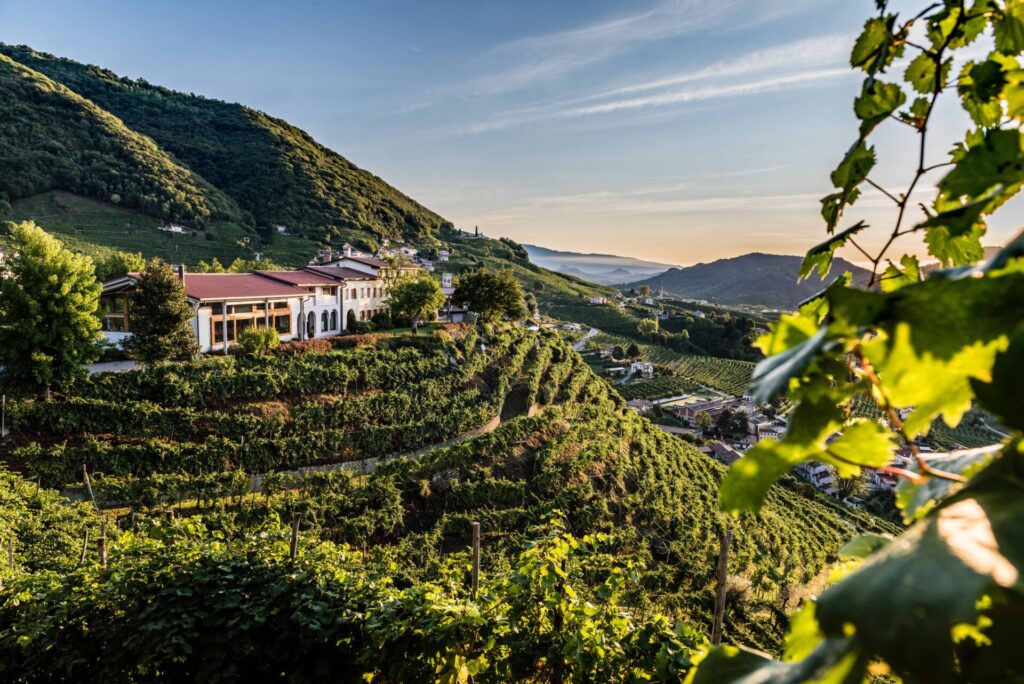 COL-VETORAZ-sede-esterno-1024x684 Il Valdobbiadene DOCG Extra Brut Cuvée Ø di Col Vetoraz. Calici leggiadri per un'esplosione di aromaticità rotondità e freschezza