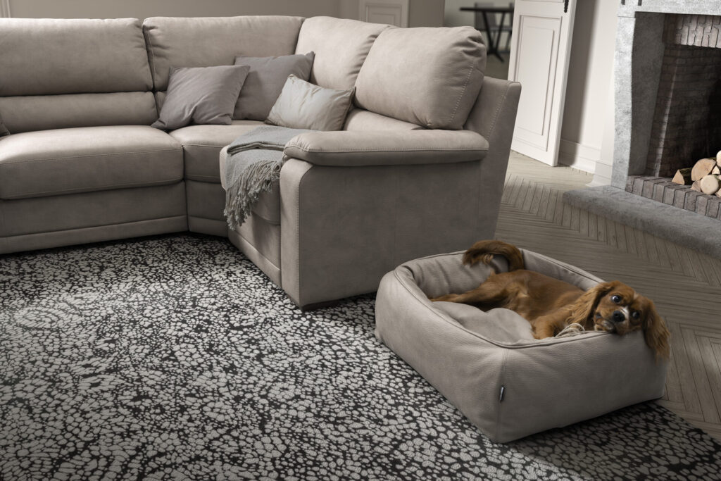 Divano-Catullo-Taupe-Dondi-Salotti_cuccia_piccola-1024x683 DondiSalotti: il nuovo Demetrio pet friendly e il 'Birba' comfort