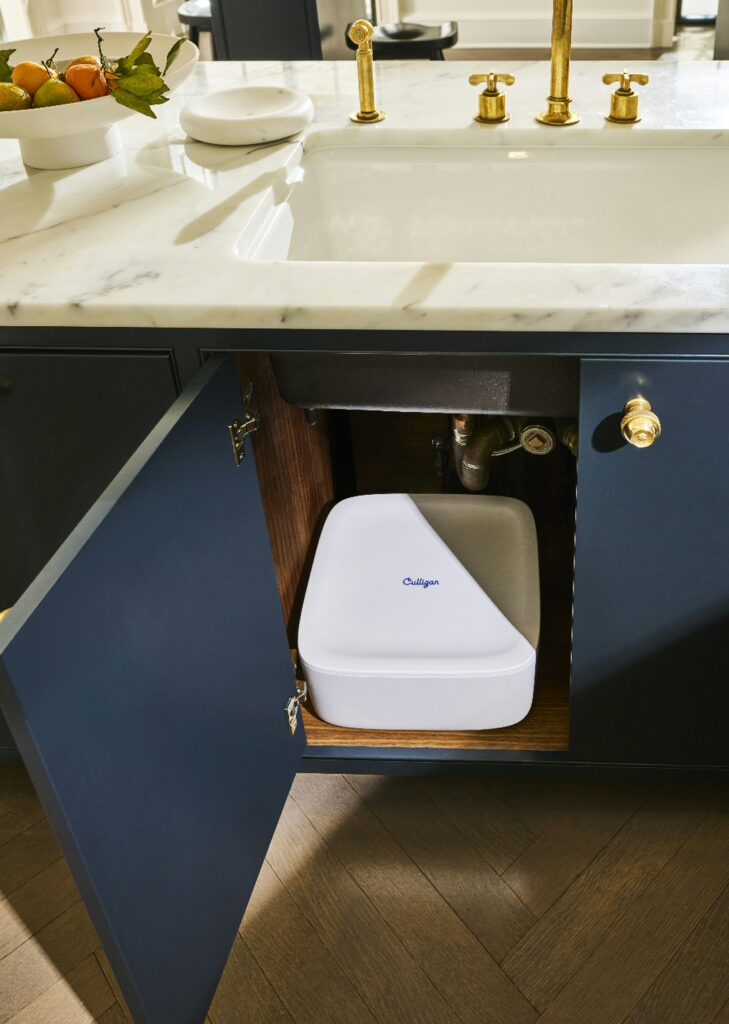 1752587654wpdm_241211_CULLIGAN_TOOLKIT-ASSETCAPTURE_CAIRYN_SHOT_24_EASYPURE_KITCHEN_ALT_002-729x1024 Culligan acqua: gesto d’amore per sé e per il pianeta