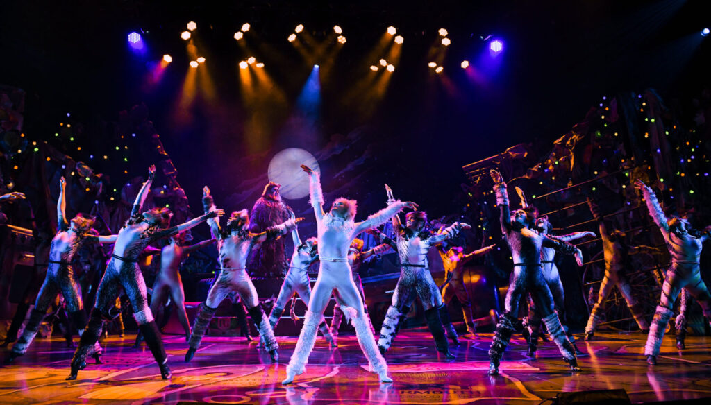 CatsTheMusical-1-1024x584 CATS - tour italiano del capolavoro firmato da Andrew Lloyd Webber in versione originale - dal 3 dicembre 2025