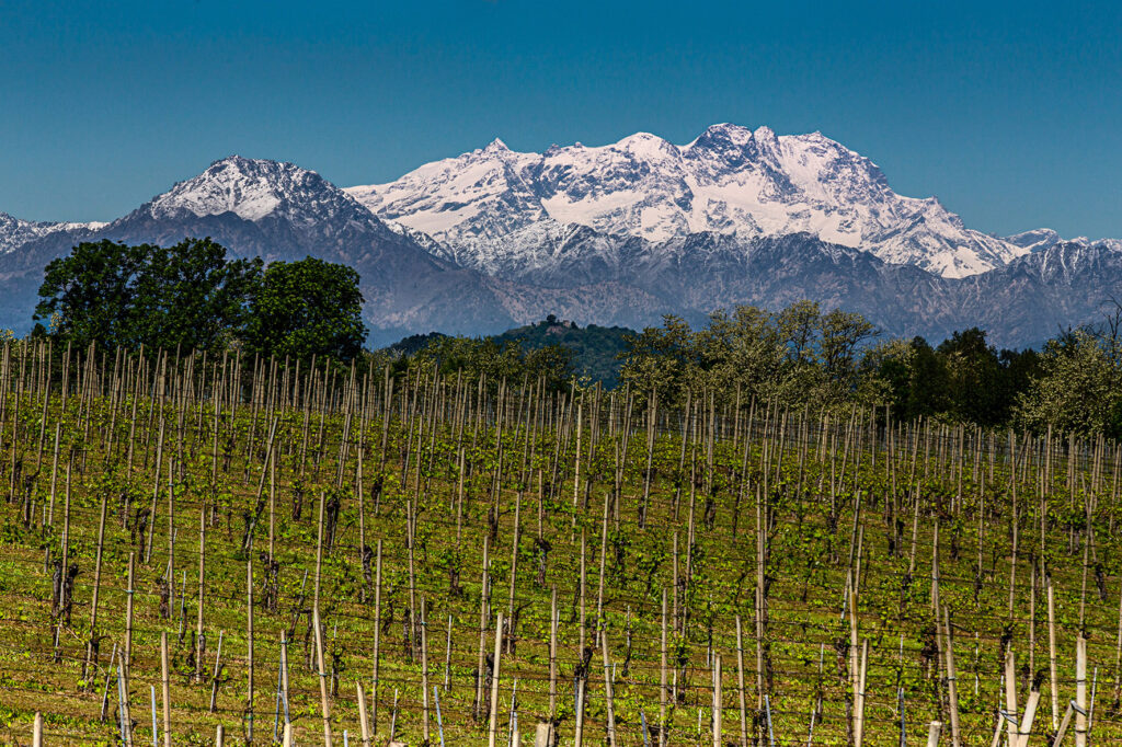 1_Monterosa_vigne_Pescio-2-1024x682 EustachiORA: degustazione con i vignaioli d’alto Piemonte