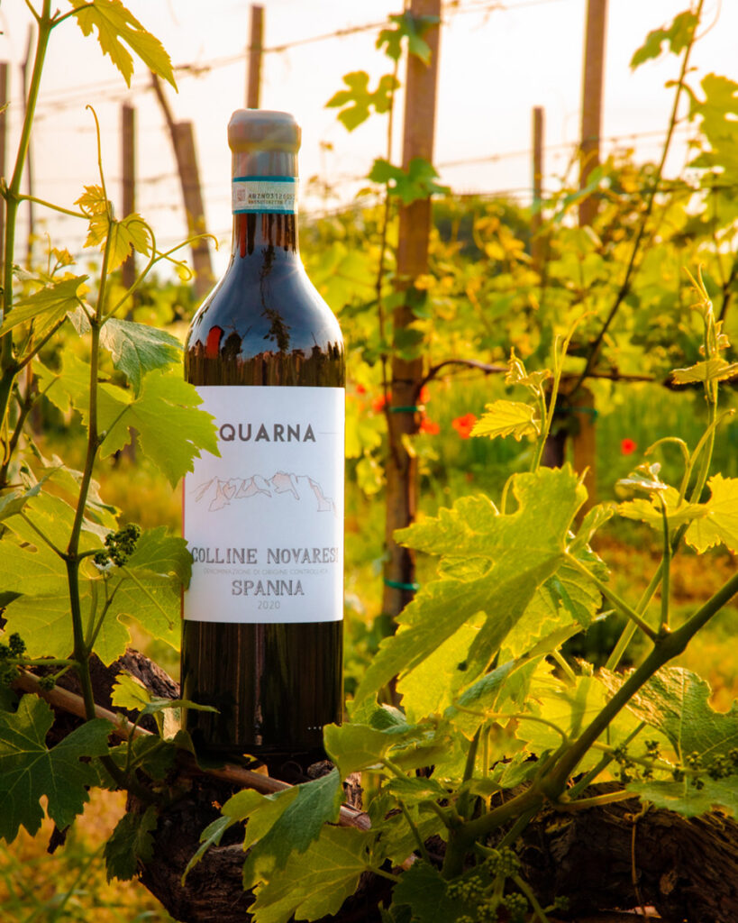 2Tappa_Spanna_-Quarna-819x1024 EustachiORA: degustazione con i vignaioli d’alto Piemonte