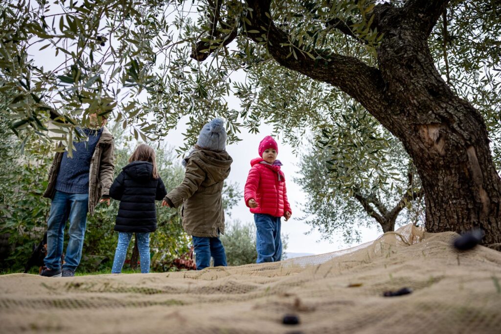 Attivita-per-bambini-Frantoi-aperti-in-Umbria-2025--1024x682 Frantoi Aperti® in Umbria: celebrare l'olio