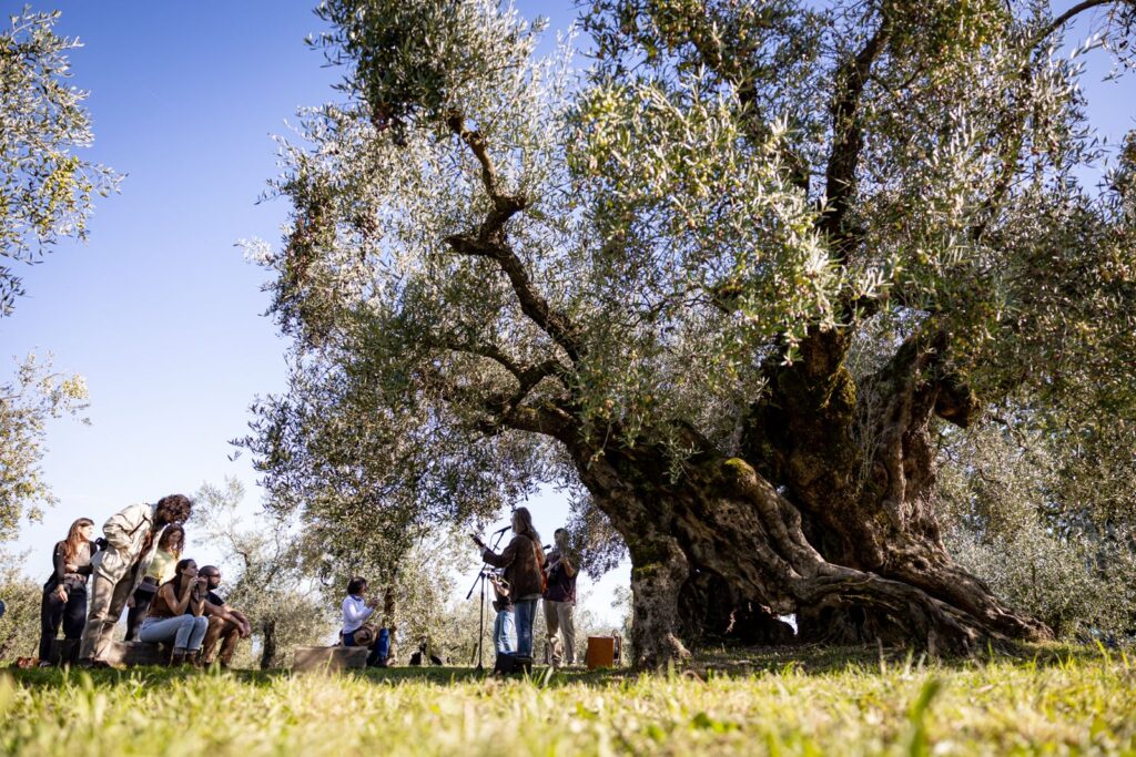 suoni-dagli-ulivi-secolari-Frantoi-aperti-in-Umbria-2025--1024x683 Frantoi Aperti® in Umbria: celebrare l'olio