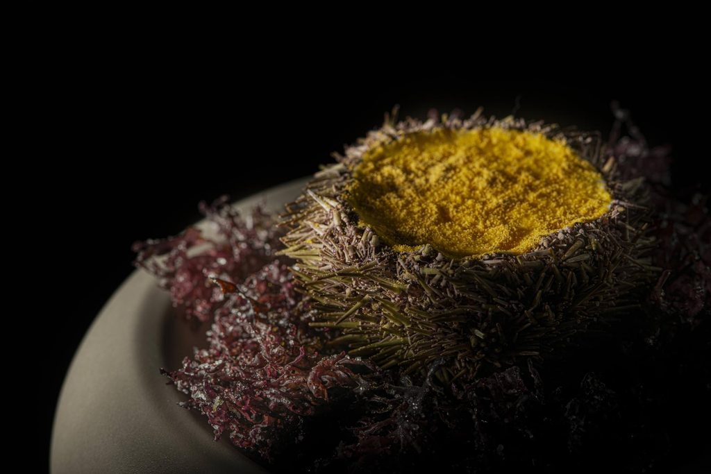 Uovo-e-Riccio-di-Mare-Islandese-1-1024x683 REBIS, LA CUCINA DI GIOVANNI DI GIORGIO TRA MEMORIA ED ESSENTIA