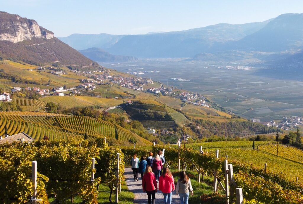 Weinexpedition_Esplorazione-Vitivinicola_Panorama-1024x689 Cantina Kurtatsch, storica cooperativa vitivinicola altoatesina, chiude l’esercizio con il fatturato più alto mai raggiunto: +11% rispetto all’esercizio precedente.