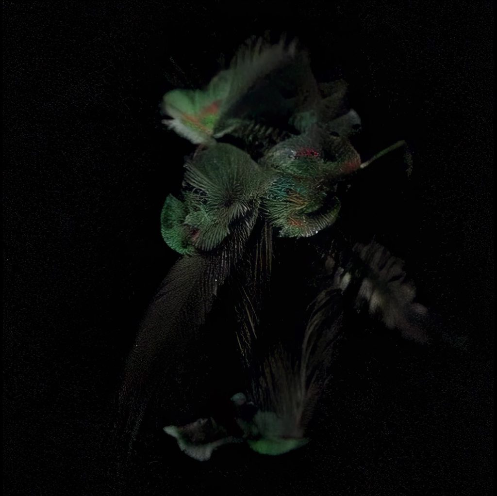 0e0ec179-f79f-d363-83c1-7162683014ce-1024x1023 MURR-MA: “Hummingbird” è il singolo d’esordio tra indie folk, elettronica e influenze azteche