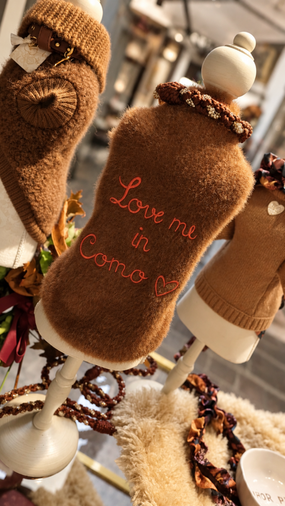 FOR-PETS-ONLY-PARTY-LOVE-ME-IN-COMO-8-576x1024 FOR PETS ONLY festeggia un anno d’amore per Como